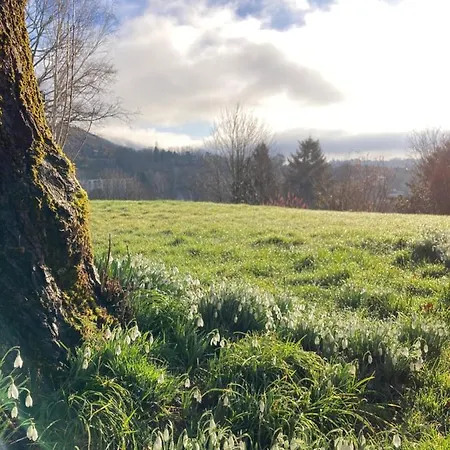 La Tuilerie D'hotes Bed & Breakfast Saint-Die-des-Vosges